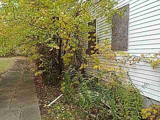 29124176_1571592859689 (1).jpg